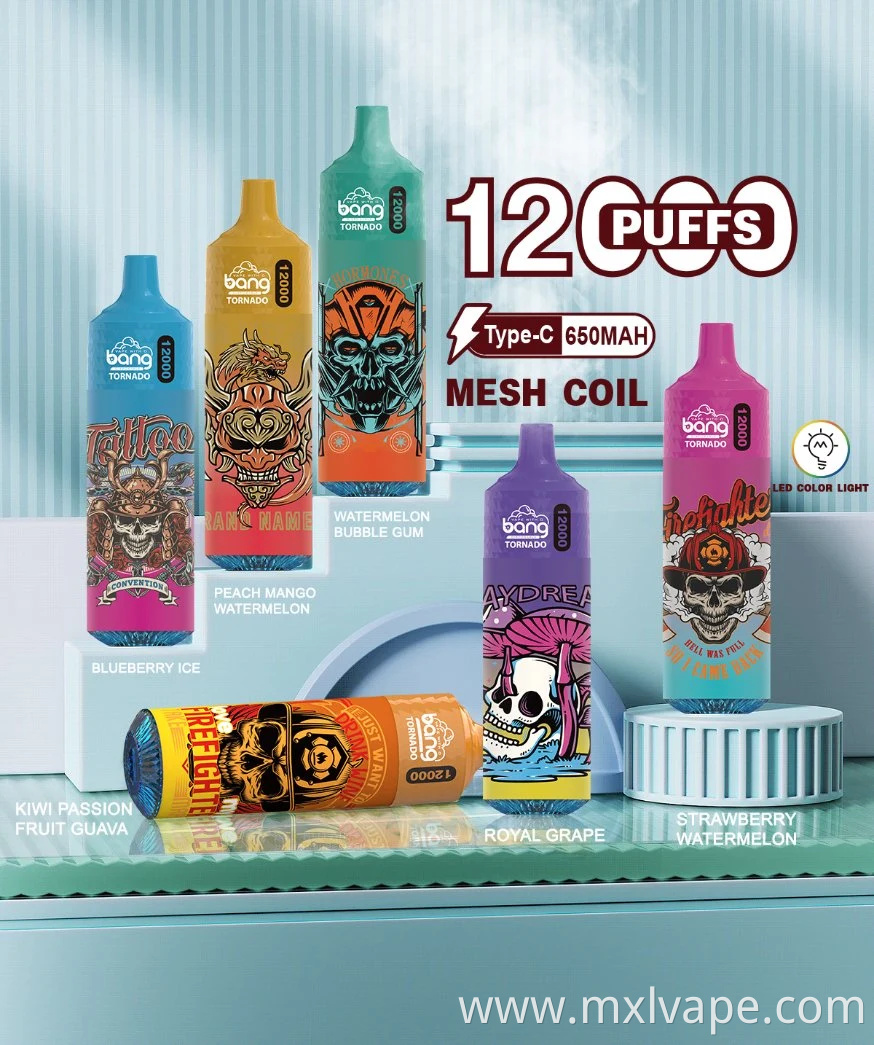Wholesale Customize Fruit Flavour Bang Electronic Cigarette Elf Box 12000 Puff Bar Disposable Vapes